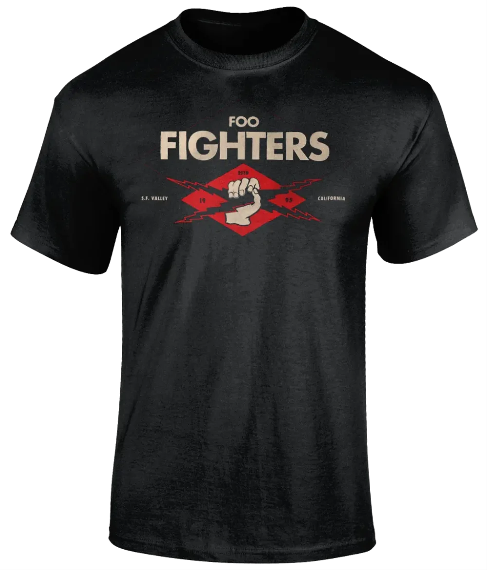 Foo Fighters (14)